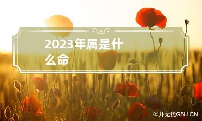 2023年属是什么命
