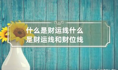 什么是财运线 什么是财运线和财位线