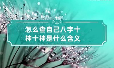 怎么查自己八字十神 十神是什么含义