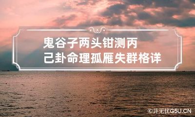 鬼谷子两头钳测丙己卦命理 孤雁失群格详解