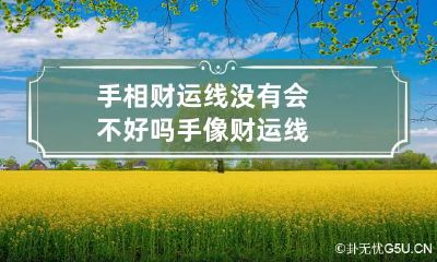 手相财运线没有会不好吗 手像财运线