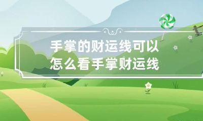 手掌的财运线可以怎么看 手掌 财运线
