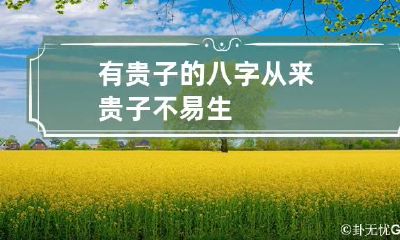 有贵子的八字 从来贵子不易生