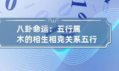 八卦命运：五行属木的相生相克关系 五行属相克吗