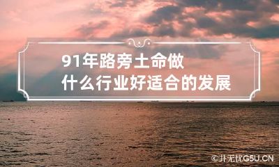 91年路旁土命做什么行业好 适合的发展方向在哪