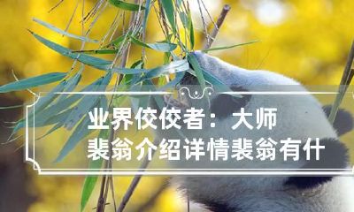 业界佼佼者：大师裴翁介绍详情 裴翁有什么厉害