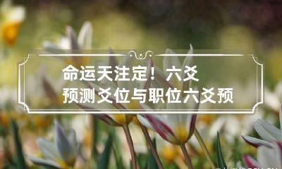 命运天注定！六爻预测爻位与职位 六爻预测学百科