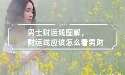 男士财运线图解，财运线应该怎么看 男财富线手相图解