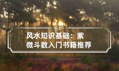 风水知识基础：紫微斗数入门书籍推荐