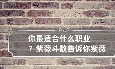 你最适合什么职业？紫薇斗数告诉你 紫薇斗数怎么看职业
