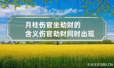 月柱伤官坐劫财的含义 伤官劫财同时出现代表什么