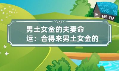 男土女金的夫妻命运：合得来 男土女金的夫妻命运还有一种说法
