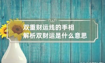 双重财运线的手相解析 双财运是什么意思