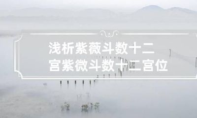 浅析紫薇斗数十二宫 紫微斗数十二宫位