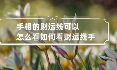 手相的财运线可以怎么看 如何看财运线手掌