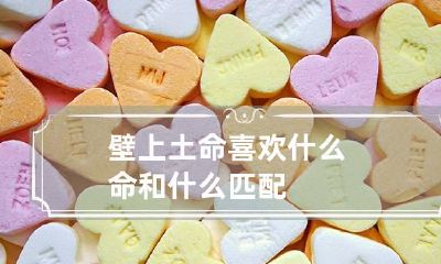 壁上土命喜欢什么命 和什么匹配