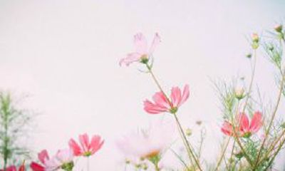与众不同的双胞胎女宝宝起名法！
