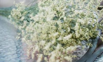 猴年龙凤胎起名用字参考大全！