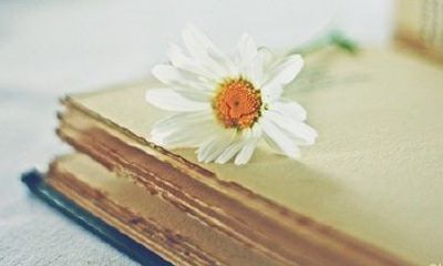 给新生宝宝取个有含义的名字大全