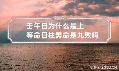 壬午日为什么是上等命 日柱男命是九败吗