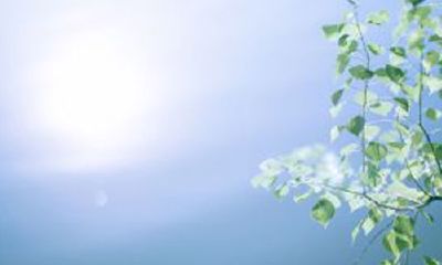 精选男孩女孩好听名字2016