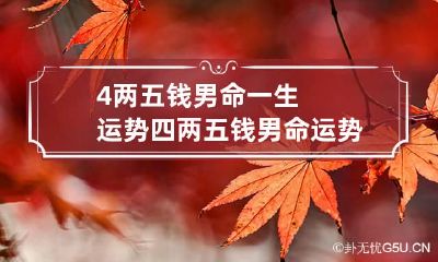 4两五钱男命一生运势 四两五钱男命运势详解