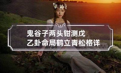 鬼谷子两头钳测戊乙卦命局 鹤立青松格详解