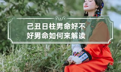 己丑日柱男命好不好 男命如何来解读