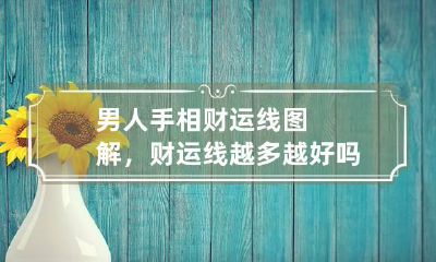 男人手相财运线图解，财运线越多越好吗