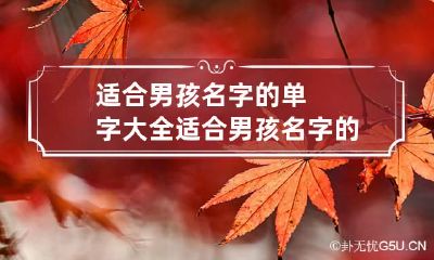 适合男孩名字的单字大全 适合男孩名字的单字大全三个字