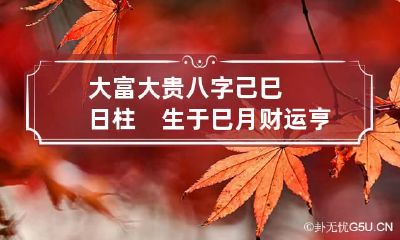 大富大贵八字己巳日柱　生于巳月财运亨通