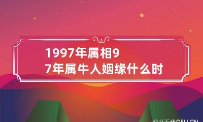 1997年属相 97年属牛人姻缘什么时候到