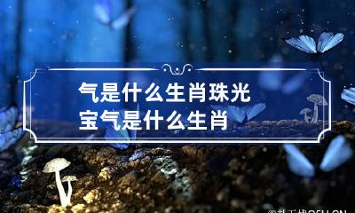 气是什么生肖 珠光宝气是什么生肖