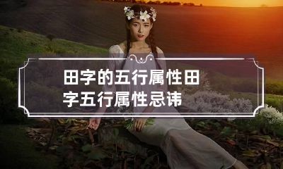 田字的五行属性 田字五行属性忌讳