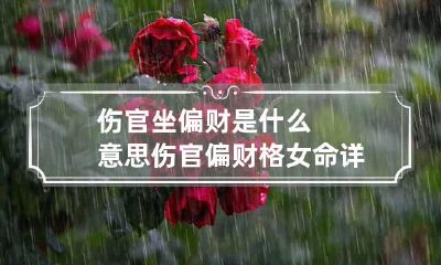 伤官坐偏财是什么意思 伤官偏财格女命详解