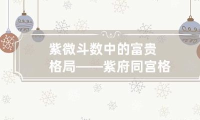紫微斗数中的富贵格局——紫府同宫格