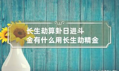 长生劫算卦日进斗金有什么用 长生劫精金