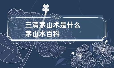 三清茅山术是什么 茅山术百科