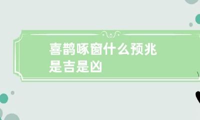 喜鹊啄窗什么预兆 是吉是凶