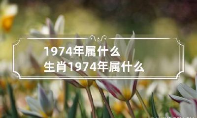 1974年属什么生肖 1974年属什么生肖属相