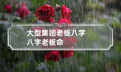 大型集团老板八字 八字老板命