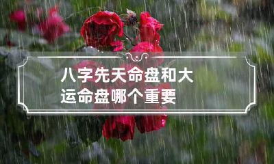 八字先天命盘和大运命盘哪个重要