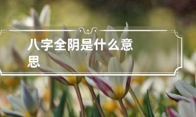 八字全阴是什么意思
