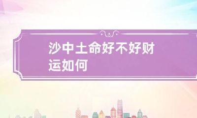 沙中土命好不好 财运如何