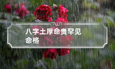 八字土厚命贵 罕见命格