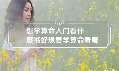 想学算命入门看什麽书好 想要学算命看哪本书