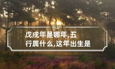 戊戌年是哪年,五行属什么,这年出生是什么命