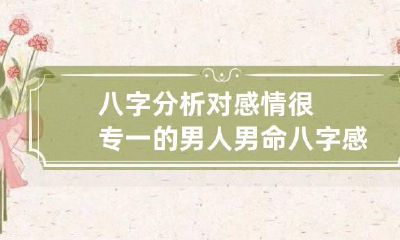 八字分析对感情很专一的男人 男命八字感情专一疼老婆