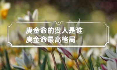 庚金命的贵人是谁 庚金命最高格局