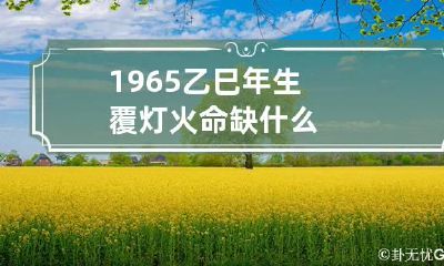 1965乙巳年生覆灯火命缺什么